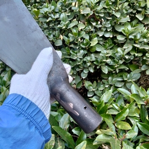 Ciseau de coupe en acier au manganèse pour palmiers, outil agricole, pioche de récolte de palmiers, lame tranchante, <span class=keywords><strong>pelle</strong></span> à couper les branches - Product Image 2
