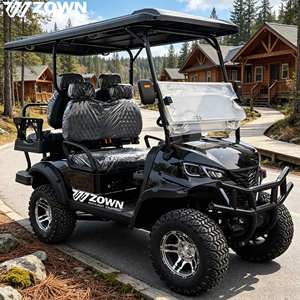Nouvelle conception de voiturette de golf électrique tout-terrain homologuée pour la route, conçue pour le transport sur les terrains de golf - Product Image 1