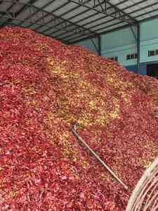 Grandes paillettes de paprika <span class=keywords><strong>turc</strong></span> sucré séché et haché - Product Image 4