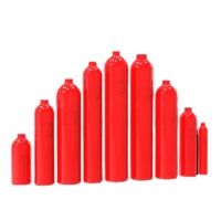 Vente en gros d'extincteur à cylindre en aluminium de 2 à 5 kg extincteur à batterie au lithium pour l'incendie de classe B à partir de produits pétroliers