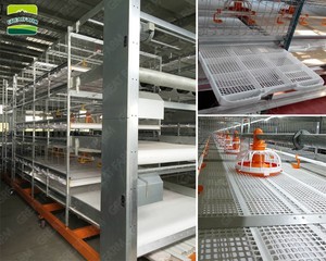 Diseño general del gallinero de puesta en una granja de pollos totalmente automatizada <span class=keywords><strong>y</strong></span> una agricultura de cría a gran escala - Product Image 5