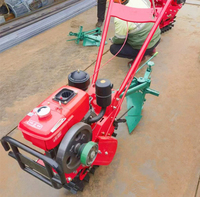 Motoculteur Mini-Fraise Diesel pour Agriculture et Labourage à Essence