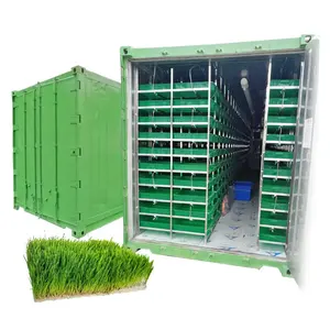 Peralatan bibit tanaman kontainer pertanian hidroponik sistem penumbuh tanaman untuk rumput hijauan