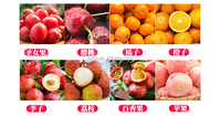 Kersen/Olijf/Dadelputverwerkingslijn Prijs/Fruit-En Groentesorteermachine Fruitsorteermachine