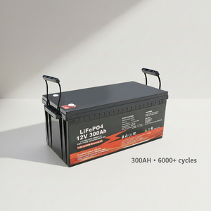 Yüksek Kapasiteli 12V 24V 200Ah 300Ah 400Ah LiFePO4 Pil, Güneş Enerjisi Bankası RV için Bluetooth İzleme - Product Image 2