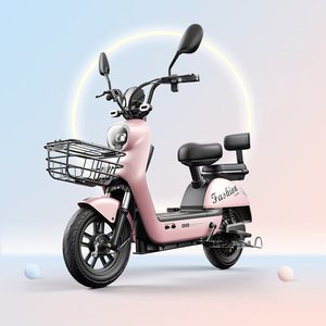 Phụ Nữ Giá Rẻ E-Xe Đạp Cho Việt Nam Với 2 Chỗ Ngồi Bicicletta Elettrica 500W E-Xe Đạp Xe Đạp Điện Chu Kỳ Xe Đạp Giá Cho Người Lớn - Product Image 1