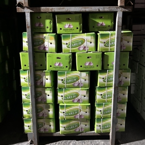 Neue Ernte SINOFARM Knoblauch Frisches Gemüse Erstklassiger Bawang <span class=keywords><strong>Putin</strong></span> Schwarzer Knoblauch Guter Preis Knoblauchpulver für den Export - Product Image 1