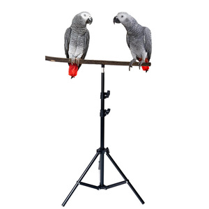 Support trépied pour perroquet, modèle Monk Small, avec poteau interactif télescopique pour l'entraînement et la griffure sur bois, portable pour le sol - Product Image 4