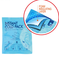 Compresse froide jetable écologique à usage unique pour la thérapie de réadaptation – Soulagement de la douleur – Fourniture de compresses chaudes et froides pour le glace