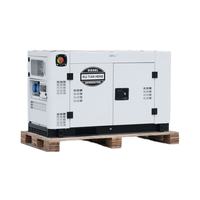 Direktverkauf ab Werk Doppelzylinder 10kVA 12kVA 13kVA 15kVA 20kVA 22kVA Leiser Hochleistungs-Dieselgenerator Rui Tian Heng