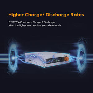 Pytes Smart BMS LiFePO4 10kwh 50 kWh 51,2 V 100Ah 200Ah 300Ah Servidor de iones de litio solar Paquete de batería montado en rack para sistema solar - Product Image 3