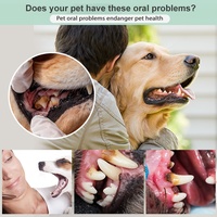 HOP Usine En Gros Blister Carte Emballage 2 En 1 Pet Dental Care 360 Chien Chat Brosse À Dents Avec Doigt Brosse À Dents