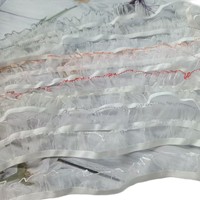 0285/2.5 Bandeau tissé à bord festonné coloré, nœud papillon en polyester, costume d'animal en peluche, sous-vêtements, textile de maison, dentelle, élasticité