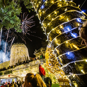 Thương Mại Tùy Chỉnh 10M Kỳ Nghỉ Ip65 Không Thấm Nước <span class=keywords><strong>Xmas</strong></span> Giáng Sinh Ngoài Trời Cây Trang Trí Nội Thất Trắng Cao Su Cáp Dây LED Cổ Tích Chuỗi Ánh Sáng - Product Image 6