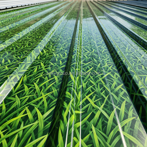 Lastre <span class=keywords><strong>in</strong></span> Acciaio Zincato Quadrate Leggere e Facili da Installare, Utilizzate per Tetti, Pareti e Rinforzo del Calcestruzzo di Capannoni - Product Image 4