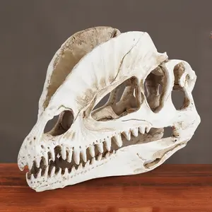 Kerajinan Resin tengkorak naga mahkota ganda kepala tengkorak Huaqi SKE18 ornamen kerangka dinosaurus untuk Halloween reptil s