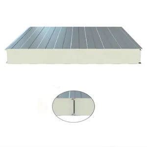 China Manufacturer PIR/PU H-Type Cold Room Sandwich Wall Panel