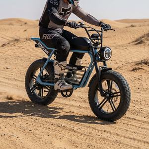 Moto tout-terrain <span class=keywords><strong>électrique</strong></span> Dune Ready Scrambler E avec freins à disque hydrauliques, pour la conduite hors <span class=keywords><strong>route</strong></span> sur les pistes de dunes de sable - Product Image 3
