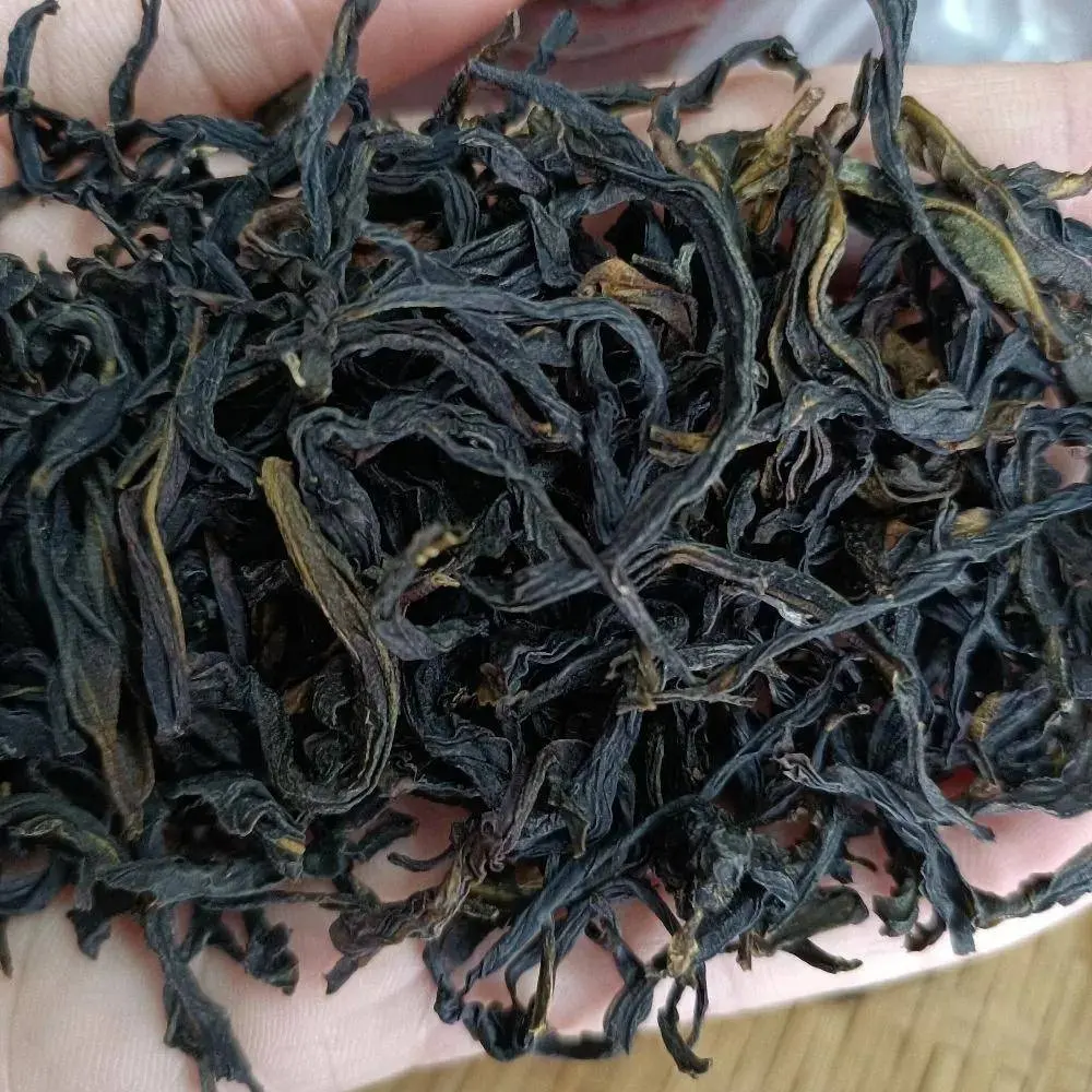 Guangdong Oolong Unique Flavor Phoenix Feng Huang Dancong Zhongshan Baixian Oolong Loose Leaf Tea