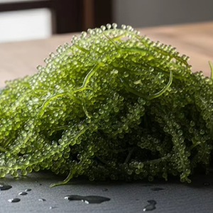 TW Sea Grapes PDRN, Concentrado de Polinucleótidos de Alta Pureza a Base de Plantas Marinas, Materia Prima Cosmética para Reparación Profesional de la Piel - Product Image 1