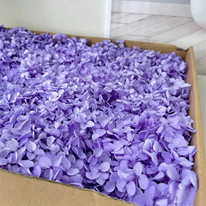 ดอกไฮเดรนเยียแอนนาแบบแห้งขายส่ง บรรจุกล่องสี่เหลี่ยม สำหรับตกแต่ง DIY น้ำหนัก 100 กรัม <span class=keywords><strong>ช่อ</strong></span>ดอกไม้ <span class=keywords><strong>วัน</strong></span><span class=keywords><strong>วาเลนไทน์</strong></span> <span class=keywords><strong>วัน</strong></span>แม่ <span class=keywords><strong>วัน</strong></span>ปีใหม่ - Product Image 4