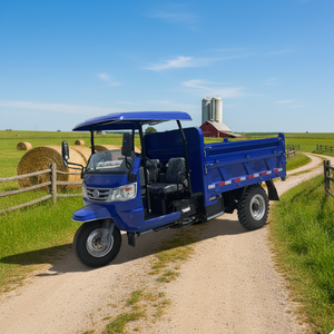 Triciclos con Motor de 2 Plazas, con Cinturón de Seguridad y Parasol, para Uso Agrícola y Minero, Gran Venta - Product Image 1