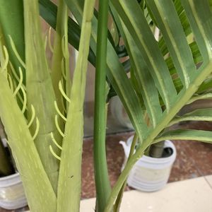 120cm 9 lá nhựa cực Bonsai plantas cây nhân tạo chậu cây cọ bán buôn - Product Image 5