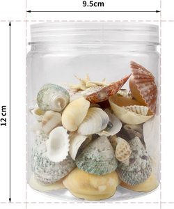 Ixed EA Hells <span class=keywords><strong>100</strong></span> + CS cada uno shells Fish tarfish arious miza Ocean eaeashell para ish ank ase illers. - Product Image 2