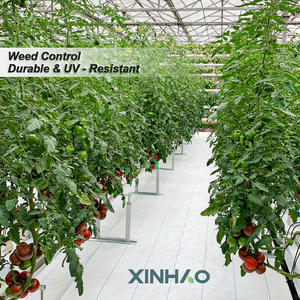 Chống cỏ vải cho độ ẩm trang trại thấm mặt đất bao gồm <span class=keywords><strong>Composite</strong></span> vải địa kỹ thuật 1000 feet dài đáng tin cậy nhà sản xuất - Product Image 5