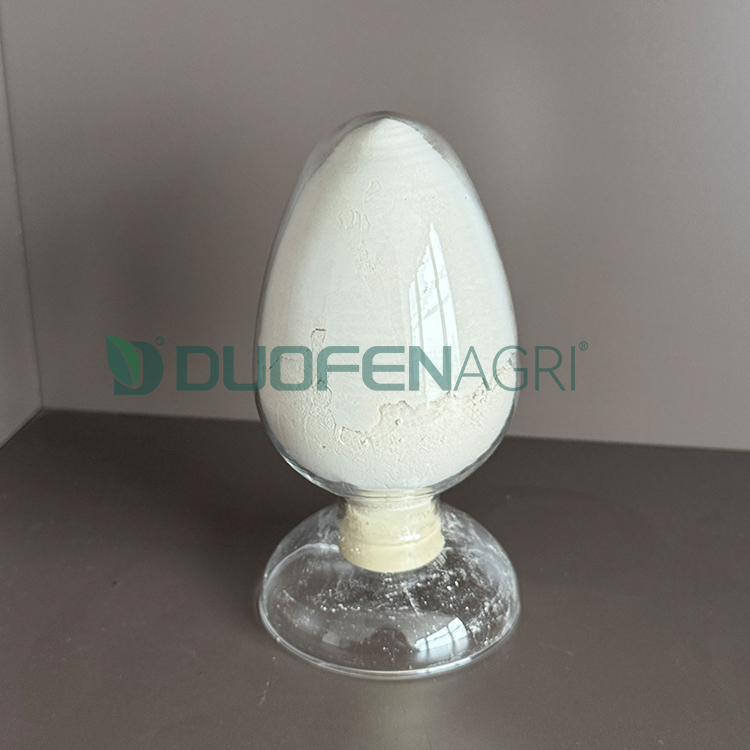 Wholesale Organic Seaweed Powder Fertilizer for Crops image 2