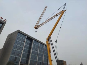 Grúa Torre Autoelevable Mini de 3 Toneladas, Grúa Torre Autoelevable Mini en Venta - Product Image 2