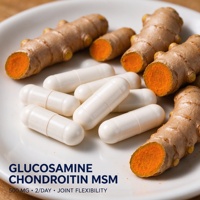 Capsules de Glucosamine Chondroïtine MSM OEM ODM Marque Privée Vente en Gros Haute Qualité Complément Alimentaire Quotidien pour Femmes