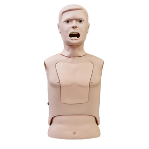 Modèle anatomique avancé en PVC pour écouvillon nasopharyngé, destiné à la formation des étudiants en médecine - Product Image 4