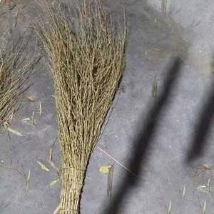 <span class=keywords><strong>Escoba</strong></span> de limpieza de suelo de jardín al aire libre de la mejor calidad, <span class=keywords><strong>escoba</strong></span> de barrido para el hogar - Product Image 2