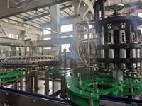 Machine automatique de remplissage de verre pour shampoing/gel/eau pure, équipement de mise en bouteille de boissons, contrôle PLC, économie d'énergie, haute performance