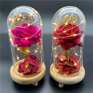 Toptan ev düğün hediyesi dekorasyon için Led ışıkları ile ucuz hediye yapay gül çiçek cam kubbe
