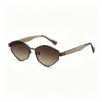 Lunettes de soleil géométriques hexagonales en métal A20064 pour femmes et hommes, verres PC polygonaux fins, branches en acétate, protection UV400