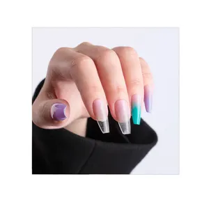 Zhongshan Senboma Odm/Oem Acryl 20 Ombre Nagel Nep Nagels Dalian Pers Op Nagels