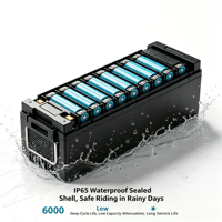 Batterie au lithium-ion personnalisée CE MSDS 48V 72V 30Ah 50Ah 100Ah, vente en gros, pack de batteries IP65, cellules de batterie à cycle long pour moto électrique