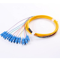 Paquete de 12 Fibras Ópticas Pigtail SC UPC LC APC Monomodo OS2 G657A 0.9mm 3mm PVC 1m 3m Codificadas por Colores Sin Revestimiento FTTH Personalizadas