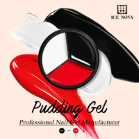 Kit de Vernis à Ongles Gel Solide Couleur ICE NOVA Pudding Gel Marque Privée 15ml Salon d'Art Ongulaire UV Gel Polish Oem