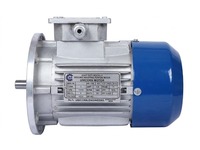 Moteur asynchrone triphasé 0,5 CV à montage sur bride, 2880 tr/min, 2 pôles, compact, haute vitesse, pour pompe et machines industrielles