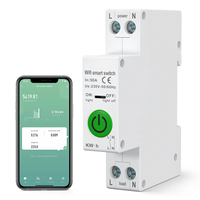 Commutateur intelligent à télécommande de disjoncteur de minuterie de WiFi pour l'usage à la maison