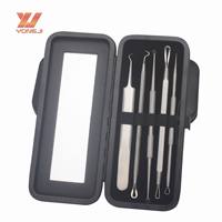 Kit d'outils professionnels en acier inoxydable pour éliminer les points noirs