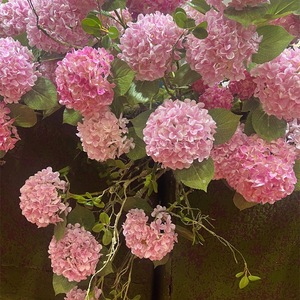 Flores de Hortensia Artificiales de Elsa, Hortensias Rosas Impresas en 3D, Decoración para el Hogar, Accesorios para Fotografía de Bodas - Product Image 1
