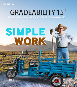 Keyu Electric Cargo Tricycle 800W EEC 400KG Load Carrying Capacity Load Open Type Electric 3 Wheel Tricycle - Product Image 5