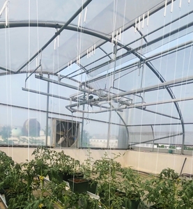 Serre agricole commerciale multi-spans avec système de suspension pour plantes grimpantes (tomates, concombres, raisins) - Product Image 2