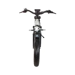 The Most Popular 48v 7 Speed Bicycle Ebike 26 Inch Full Suspension Electric Fat Bike Fat Tire