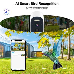 מצלמת אקדח חכמה עמידה למים, מתוצרת Source Factory, להזנת ציפורים, עם זיהוי ציפורים מבוסס בינה מלאכותית, מופעלת על ידי סוללה סולארית, לשימוש חיצוני, 5MP, ABS - Product Image 4