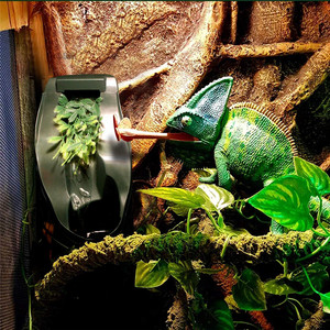 Новейший дозатор воды для рептилий, чаша-капельница для питьевой воды для амфибий, насекомых, медный дракон - Product Image 5